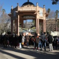 Castellón,  Día Mundial del Árbol, 2015