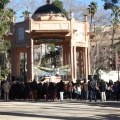 Castellón,  Día Mundial del Árbol, 2015
