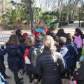 Castellón,  Día Mundial del Árbol, 2015