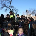 Castellón,  Día Mundial del Árbol, 2015