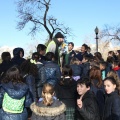 Castellón,  Día Mundial del Árbol, 2015