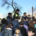 Castellón,  Día Mundial del Árbol, 2015