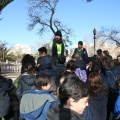 Castellón,  Día Mundial del Árbol, 2015