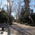 Castellón,  Día Mundial del Árbol, 2015