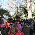 Castellón,  Día Mundial del Árbol, 2015