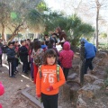 Castellón,  Día Mundial del Árbol, 2015