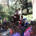 Castellón,  Día Mundial del Árbol, 2015