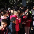 Castellón,  Día Mundial del Árbol, 2015