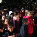 Castellón,  Día Mundial del Árbol, 2015