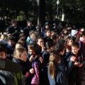 Castellón,  Día Mundial del Árbol, 2015