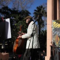 Castellón,  Día Mundial del Árbol, 2015
