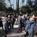 Castellón,  Día Mundial del Árbol, 2015