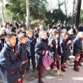 Castellón,  Día Mundial del Árbol, 2015