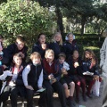 Castellón,  Día Mundial del Árbol, 2015
