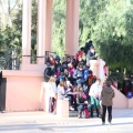 Castellón,  Día Mundial del Árbol, 2015