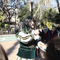 Castellón,  Día Mundial del Árbol, 2015