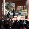 Castellón,  Día Mundial del Árbol, 2015