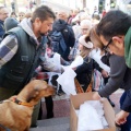 Romería en honor a Santa Águeda