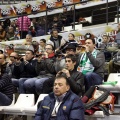 Amics Castelló