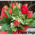 Castellón, Espai Vegetal, floristería
