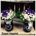 Castellón, Espai Vegetal, floristería