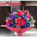 Castellón, Espai Vegetal, floristería
