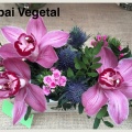 Castellón, Espai Vegetal, floristería
