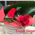 Castellón, Espai Vegetal, floristería