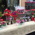 Castellón, Espai Vegetal, floristería