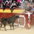 Manifestación taurina