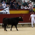 Manifestación taurina
