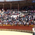 Manifestación taurina