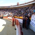 Manifestación taurina
