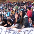 Manifestación taurina