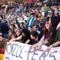 Manifestación taurina