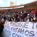 Manifestación taurina