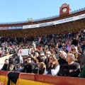 Manifestación taurina