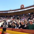 Manifestación taurina
