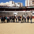 Manifestación taurina