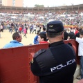 Manifestación taurina