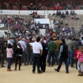 Manifestación taurina
