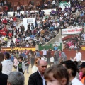 Manifestación taurina