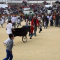 Manifestación taurina