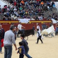 Manifestación taurina