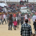 Manifestación taurina