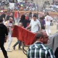 Manifestación taurina