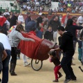 Manifestación taurina