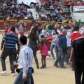 Manifestación taurina