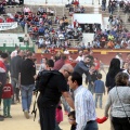 Manifestación taurina