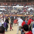 Manifestación taurina